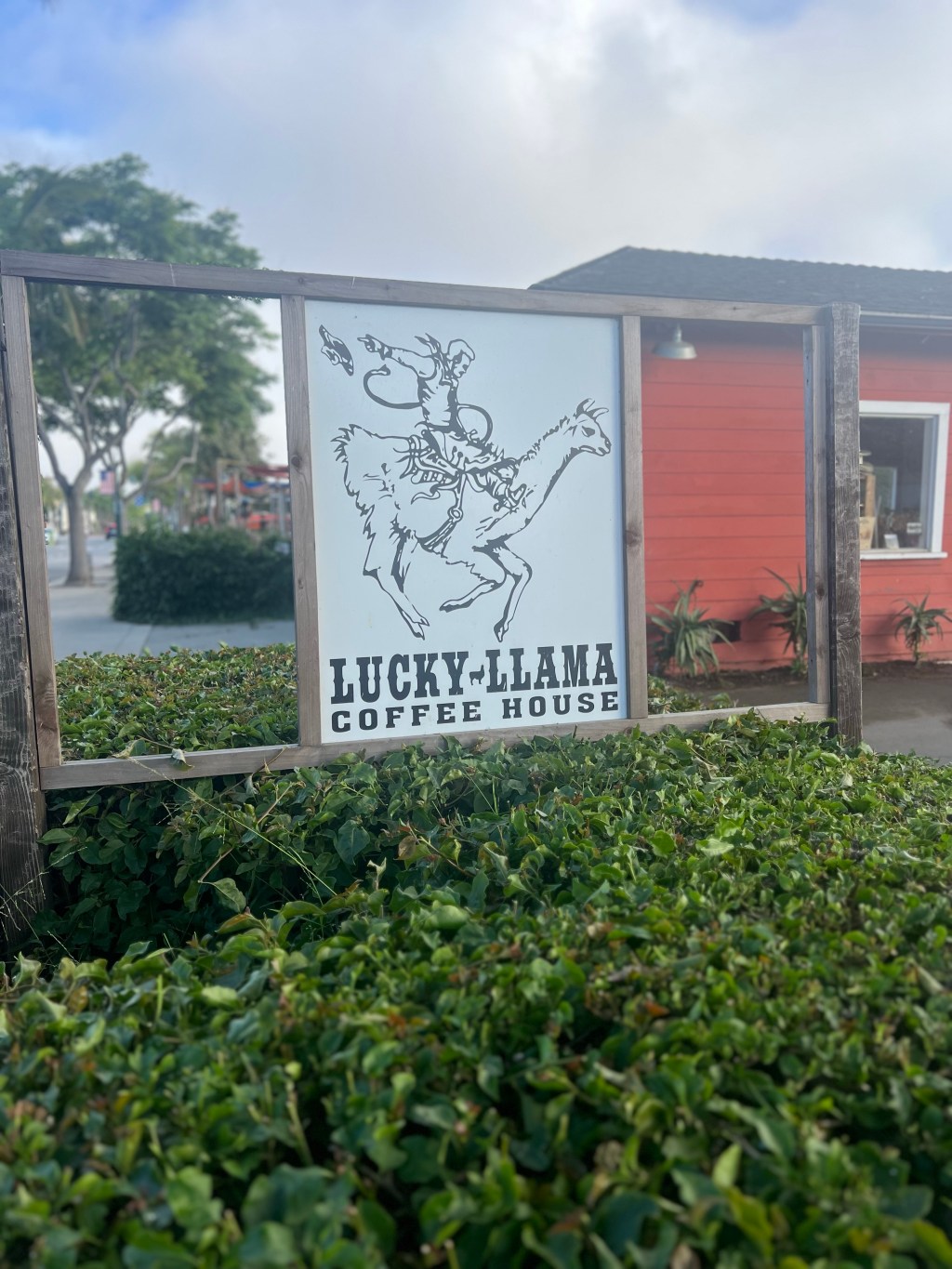 Lucky Lama Coffee